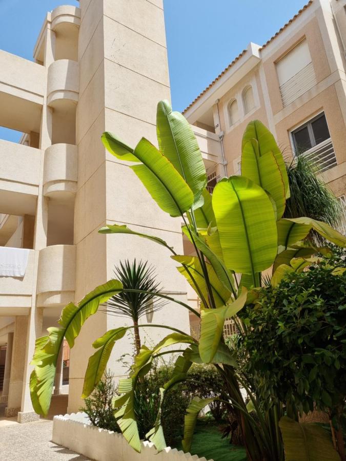 شقة Flamenco Penthouse Sea View & Swimming Pool تورّيفيِخا المظهر الخارجي الصورة